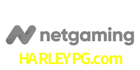 NetGaming